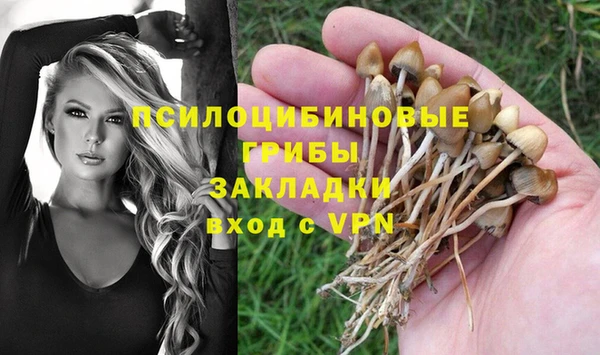 спайс Алексеевка