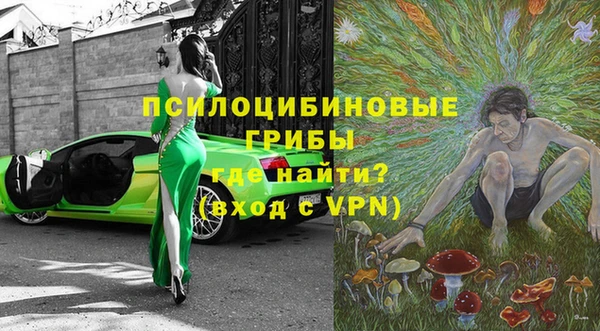 не бодяженный Алексин
