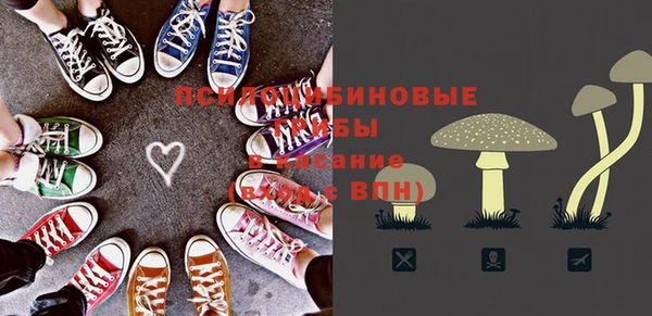 спайс Алексеевка