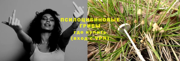 не бодяженный Алексин